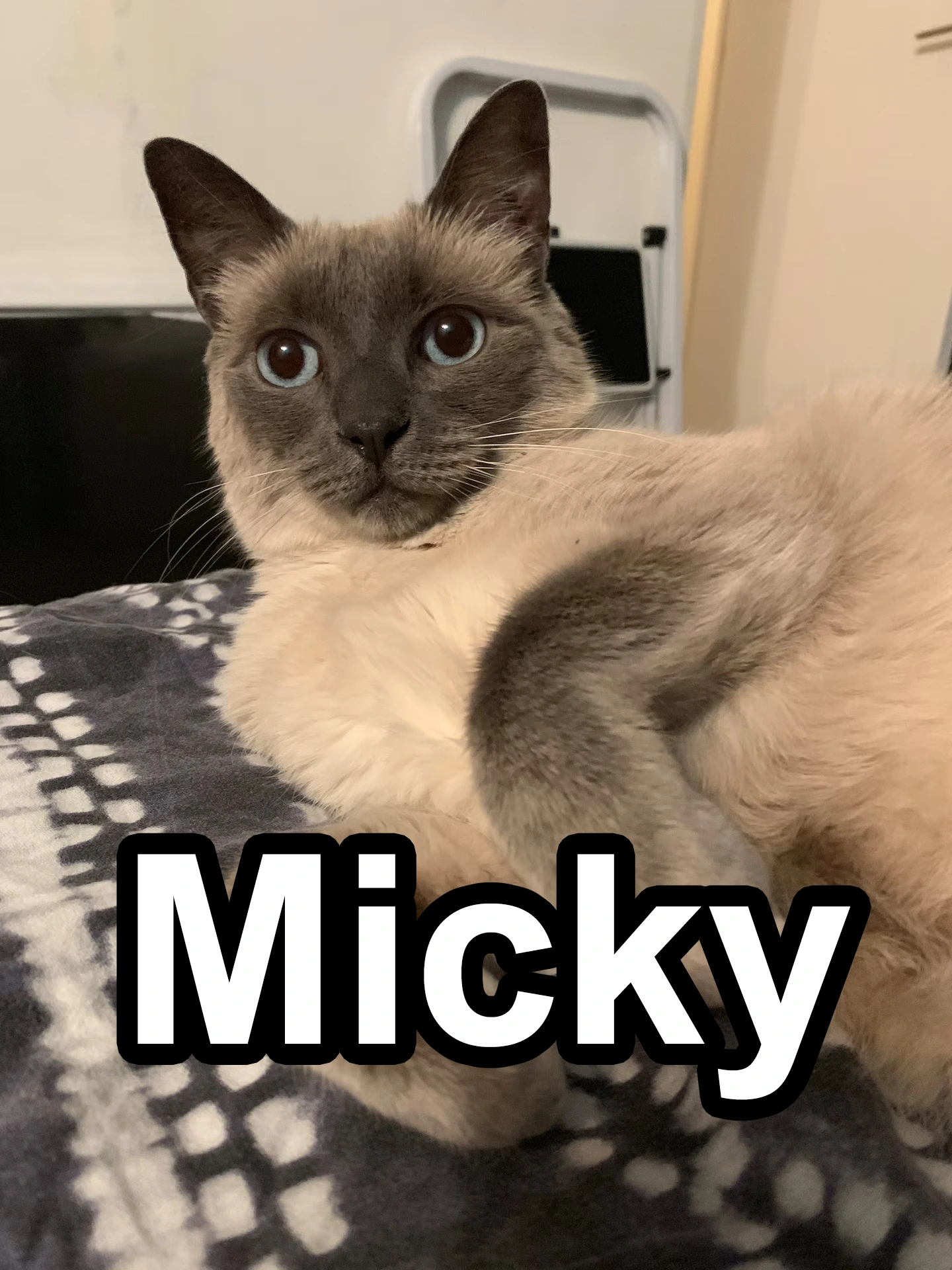 micky
