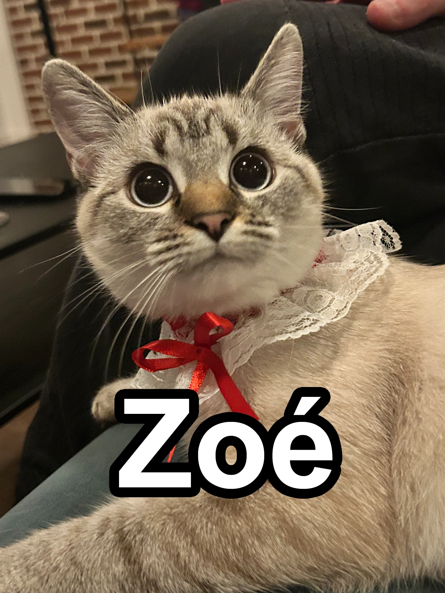 zoe